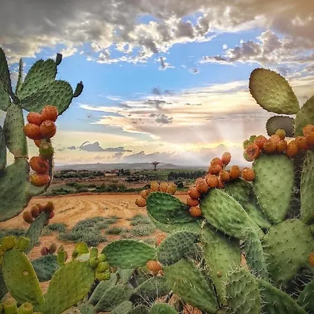 Domus Deiana Апартаменты Сан-Джованни-Суерджу