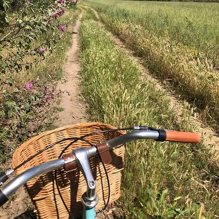 Apartment Domus Deiana