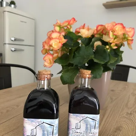 Apartment Domus Deiana